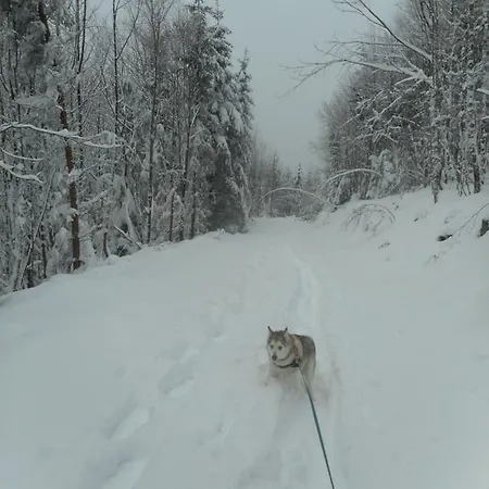 La Charbonniere Bellefosse